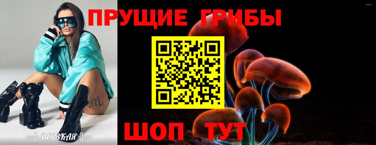 Галлюциногенные грибы Psilocybine cubensis  Вход с VPN  Псилоцибиновые грибы Cubensis  Клин 
